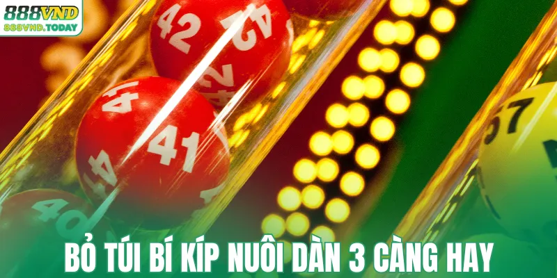 Bỏ túi bí kíp nuôi dàn 3 càng hay