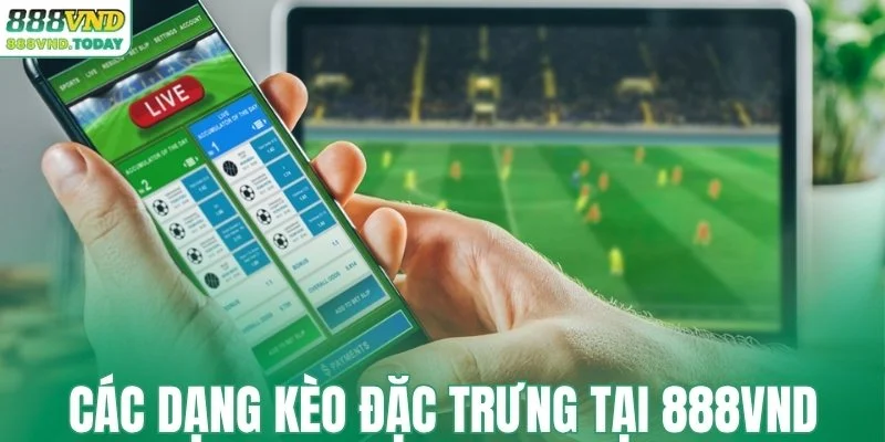 Các dạng kèo đặc trưng tại 888VND