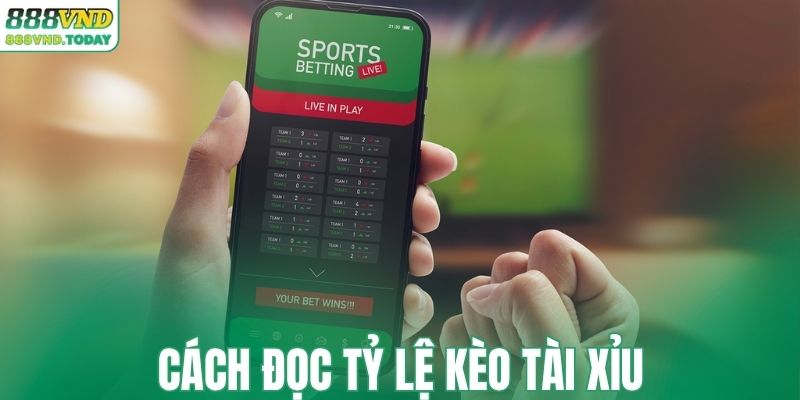 Cách đọc tỷ lệ tài xỉu chính xác