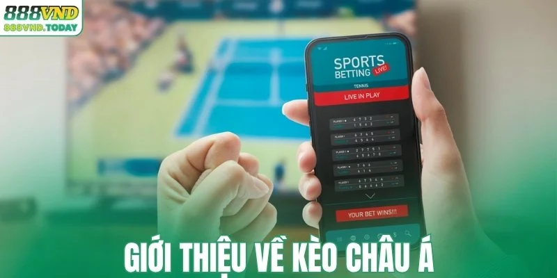 Giới thiệu về kèo Châu Á