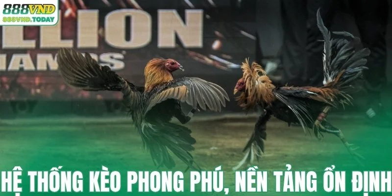 Hệ thống kèo phong phú và nền tảng ổn định