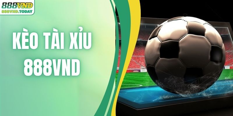 5 Cách Đọc Kèo Tài Xỉu Bất Bại Cho Người Mới Cực Nhanh