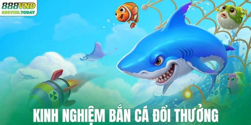 Kinh nghiệm săn cá đổi thưởng thông minh nhất