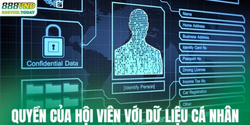 Quyền của hội viên đối với dữ liệu cá nhân